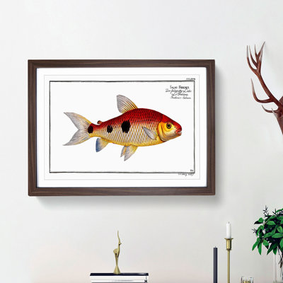 Frederics Salmon Fish by M.E. Bloch - Framed Print
