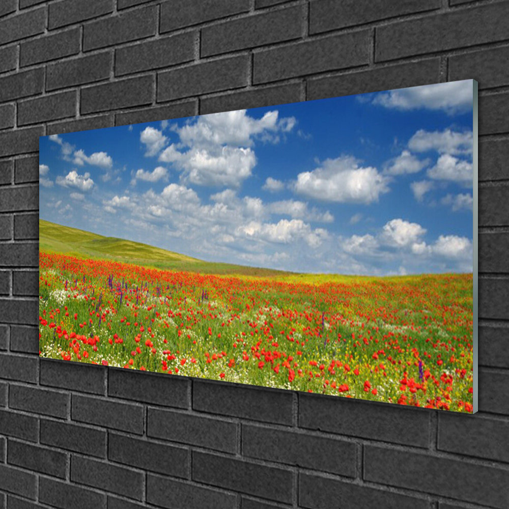 Glasbild Wiese Blumen Landschaft