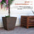 Pot Planter-979810681