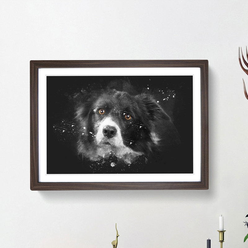 Brown Eyed Border Collie Dog - Picture Frame Painting Print, 33cm H x 45cm W x 2cm D, Walnut Framed