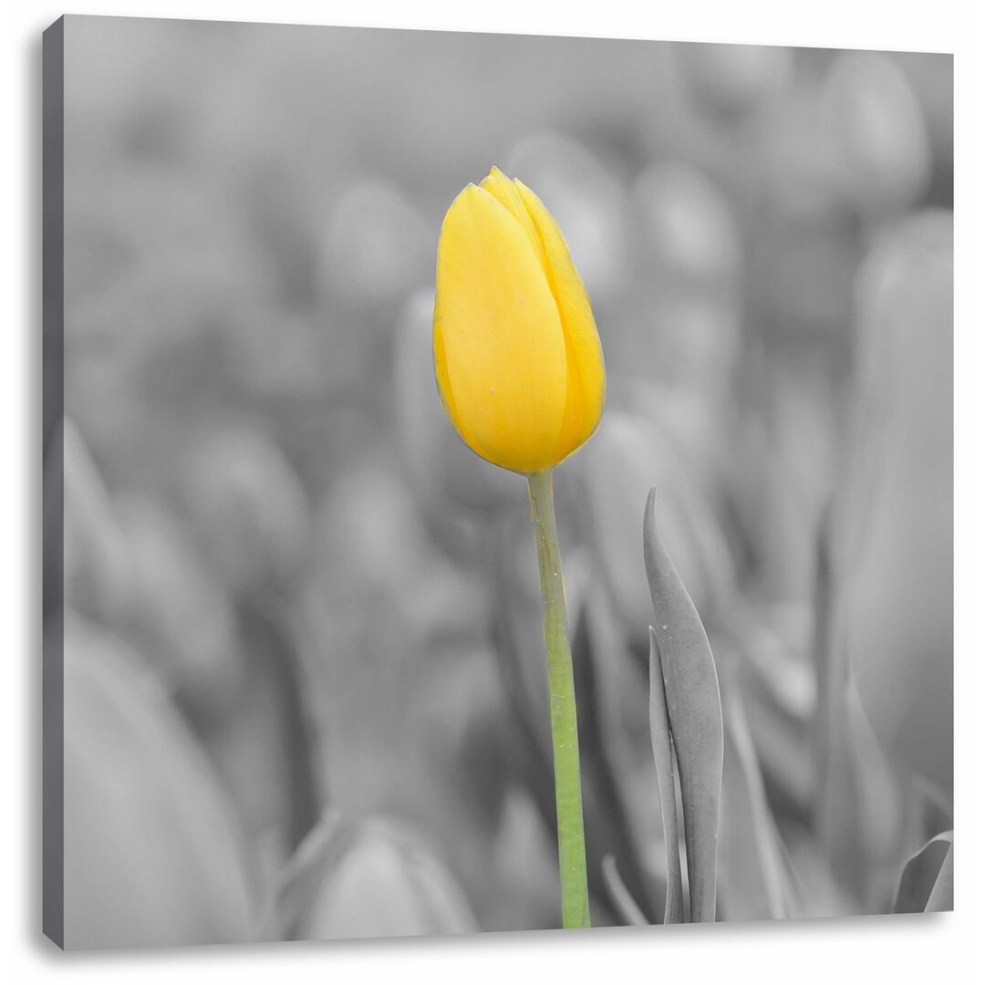 Leinwandbild Gelbes Tulpenmeer