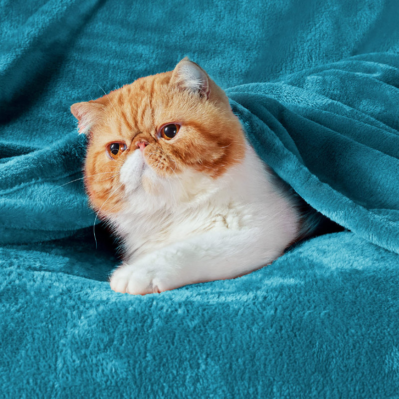 Bedsure Soft Fluffy Fleece Throw Blanket for Sofas&Beds, Teal, 200cm x 150cm