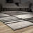 Latitude Run Aaron Geometric Charcoal Stain Resistant Area Rug-1430910367