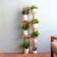 Tatyana Wood Plant Stand-1665617898