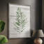 Tropic Frond II Framed Print - Solid Wood 47759-367149628