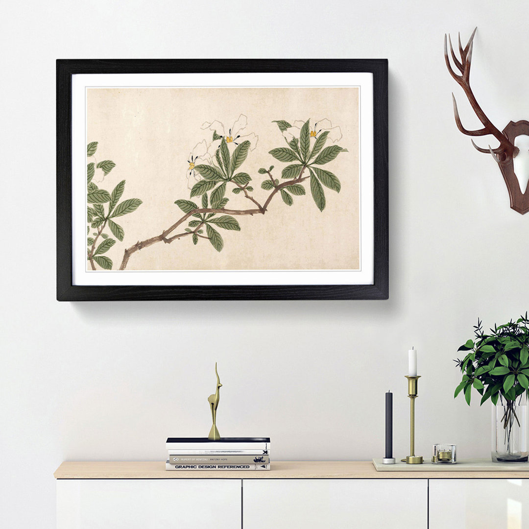 Flowers of the Four Seasons Vol.3 by Shen Zhou - Framed Print