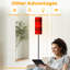  Lampe sur pied 68,5 po Tartan Scottish cage