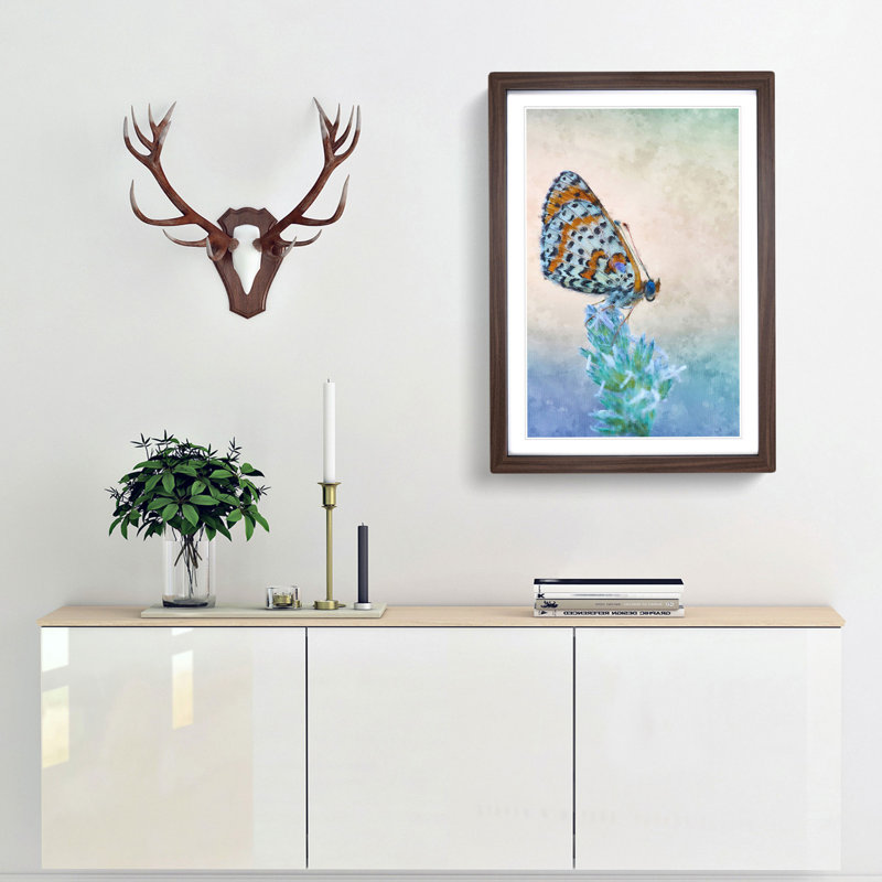 Butterfly Perched upon a Flower - Picture Frame Graphic Art Print, 33cm H x 24cm W x 2cm D, Walnut Framed