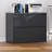 Ahanu 35.4'' Wide 2 -Drawer Steel File Cabinet-1940947481