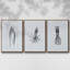Marine Life, ensemble de 3 pièces encadrées sur toile-700303266-700303264