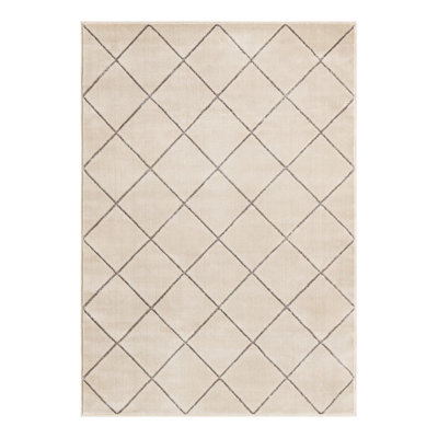 Latitude Run® Checks Novica Rug White and Silver