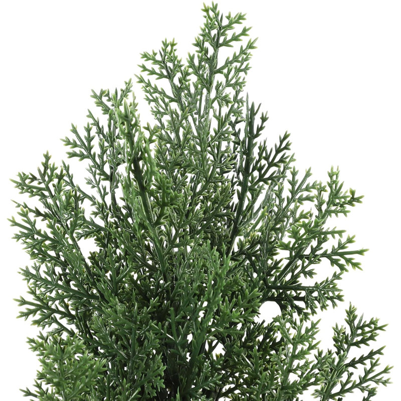 Plant, 36.2 cm x 10.9 cm, Black
