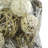 Ayva-Mae Landscape & Nature Vase Filler-1901668842