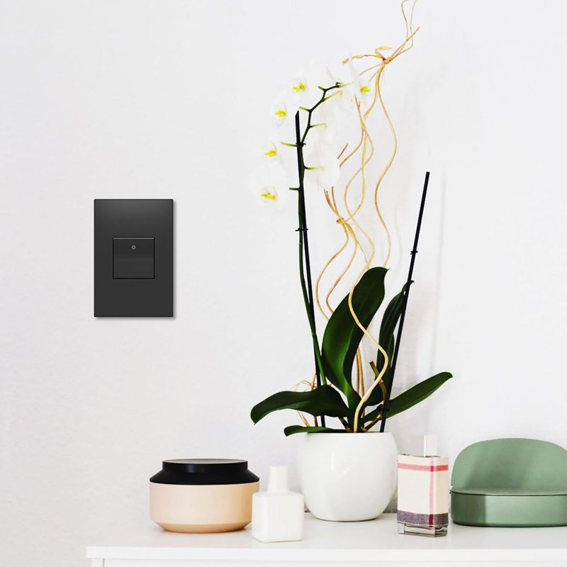 Interrupteur de lumière unipolaire et à 3 voies avec microban Adorne® Paddle, Graphite