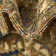 Green Nosara Indoor/Outdoor Traditional Rug