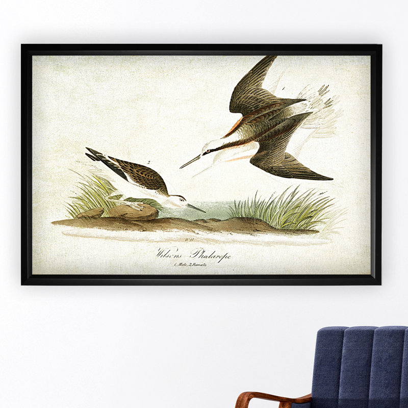 « volière assiette xxi », impression, H 32 po x l 48 po x P 1,5 po, Pas de tapis, Toile tendue