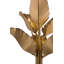 Banana Leaf 6-Light Chandelier - Gold/Dark Edging-49634723