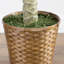 Palmier artificiel dans un panier-1742963072