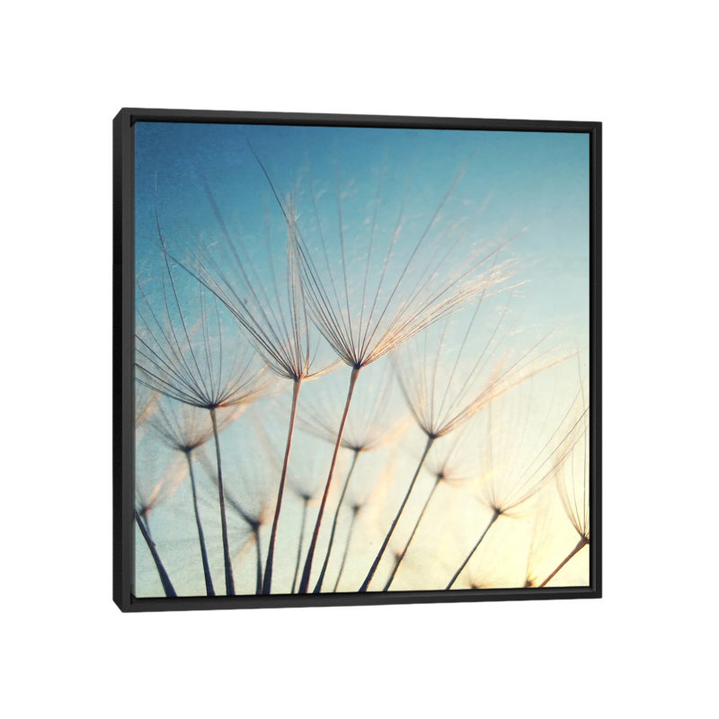 « make a voeu », reproduction de photo sur toile, H 18 po x l 18 po x P 1,5 po, Toile avec cadre noir, Pas de tapis