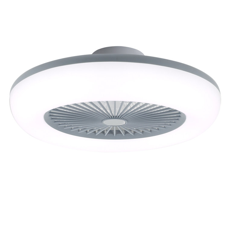 Ceiling Fan with LED Lights