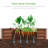 Rollon Metal Raised Garden Bed-1291620232