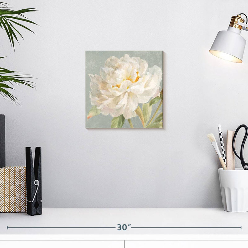 Pivoine de jardin Harnek neutre, H 10 po x l 10 po