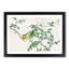 Brown-Eared Bulbul Bird & White Wild Rose by Numata Kashu - Picture Frame Art Print-55681236-55681231