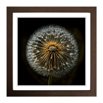 Dandelion Photograph No.1 - Framed Print