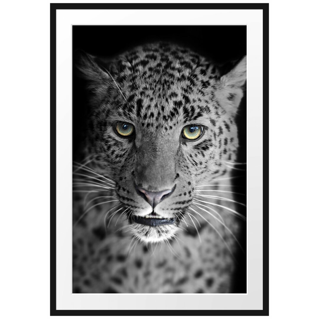 Gerahmtes Poster Wunderschöner stolzer Leopard