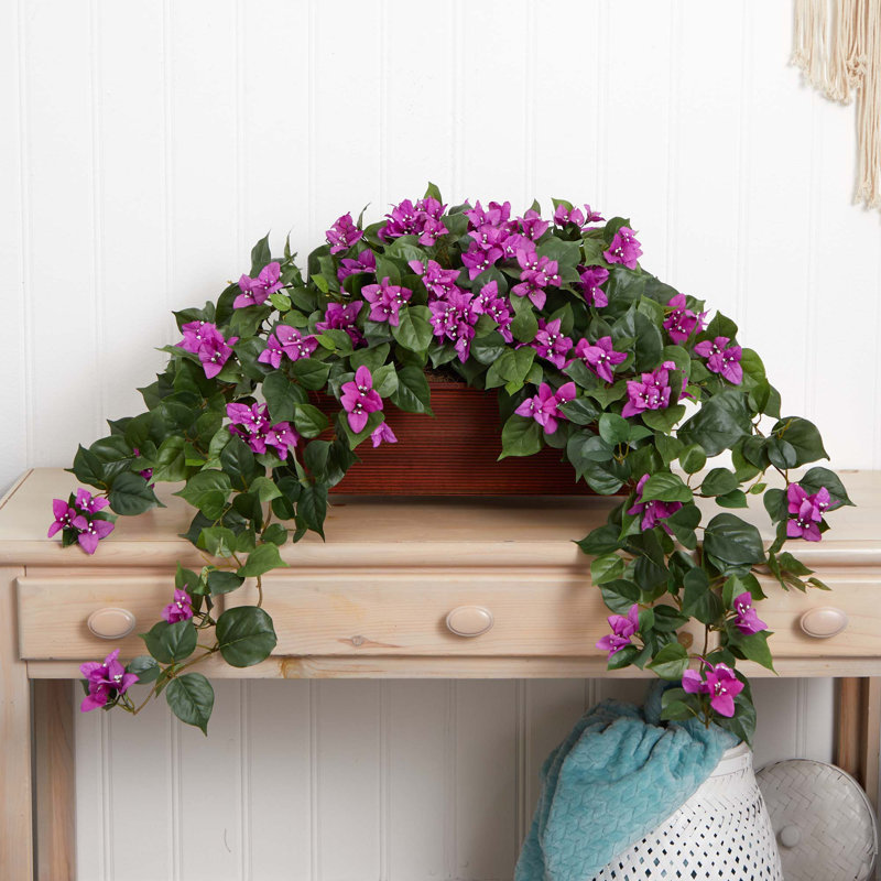 Plante florale pour bureau bougainvillea, Mauve