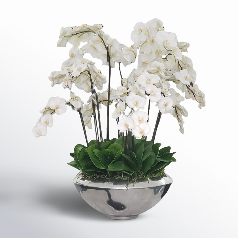 Arrangement in Planter, White