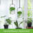 Carrey Indoor / Outdoor Hanging Planter