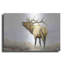 «Majestic Elk» par James Wiens-196237588