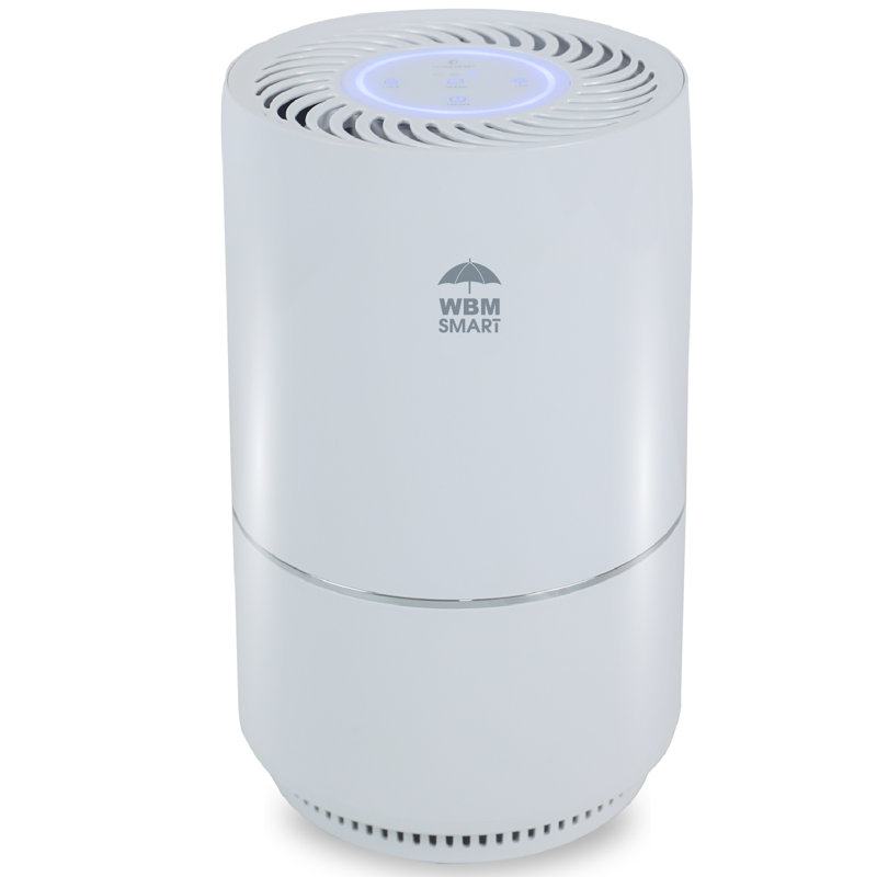Purificateur d'air intelligent WBM pour 1440 pieds cubes, véritable filtre HEPA pour les allergènes, la moisissure et les germes