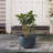 Planter