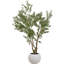 250cm Faux Tree in Cement Pot