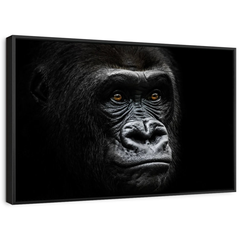 Animal "Portrait de gorille en gros plan", H 25 po x l 37 po