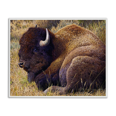 «Relaxing Young Bison», estampe numérique par Rod Lawrence