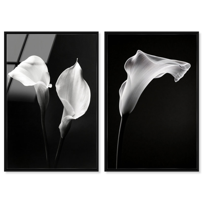 Calla Lily Set High-Gloss Frameless Acrylic Glass Wall Art Floral & Botanical Print by Oliver Gal, Ready to Hang, 10 x 15