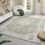 Tapis d'intérieur floral vert / ivoire Degregorio-129907724