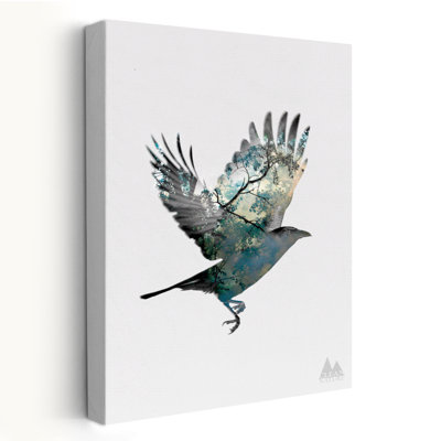 Oiseau - animaux, oiseaux, art