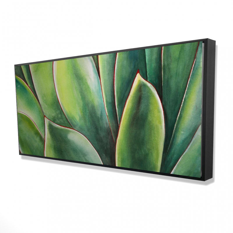 Watercolor Agave Plant Print On Canvas, H 24 po x l 48 po