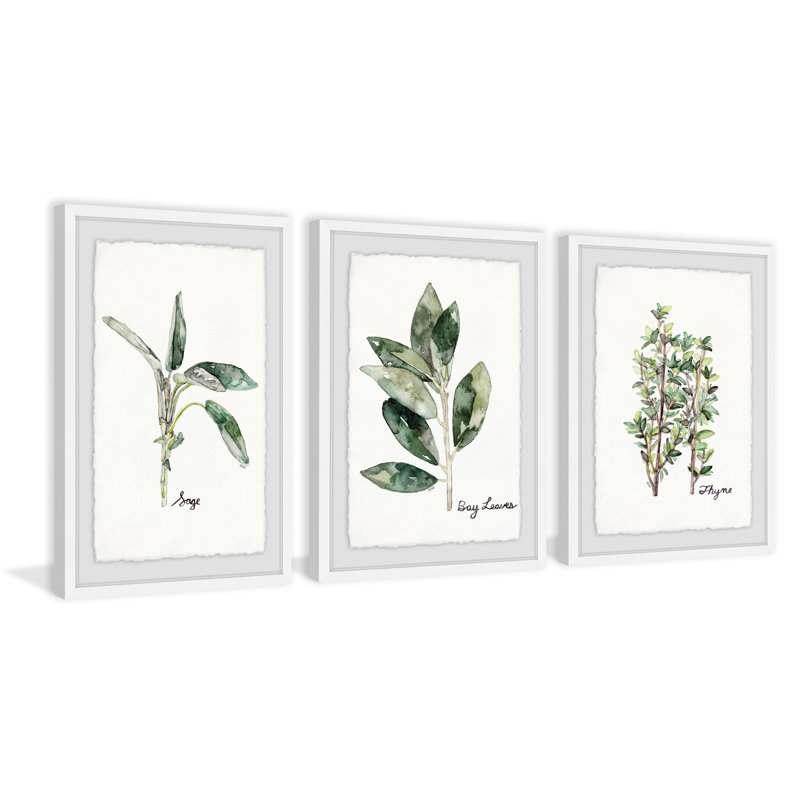 «Herb Trio Triptych», ensemble de 3 reproductions de peintures à l'aquarelle encadrées, H 36 po x l 24 po