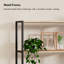 165cm H x 80cm W Standard Bookcase