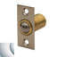 Adjustable Ball Catch for Door-1489981654