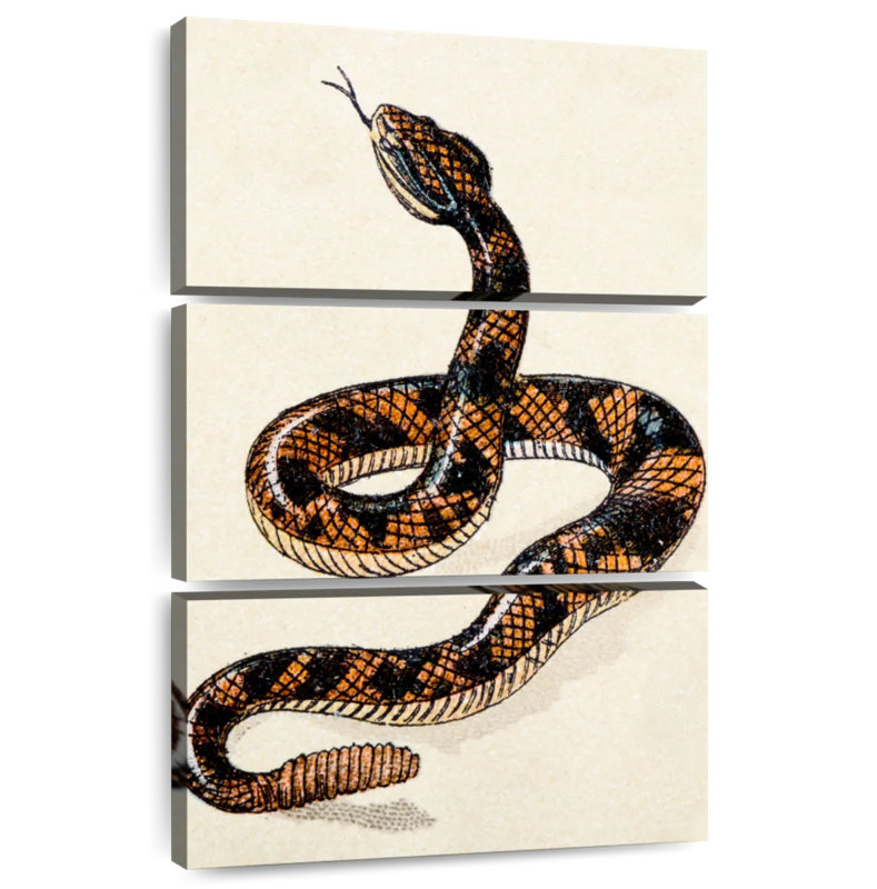 Brampt Rattlesnake, 50" H x 32" W