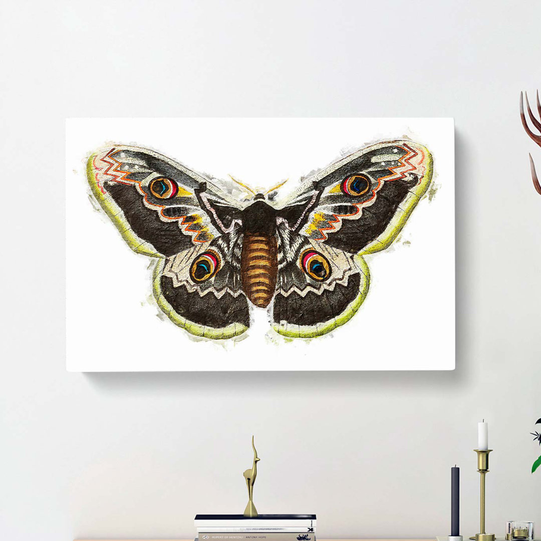Great Peacock Moth by George Shaw - Wrapped Canvas