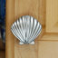 1 1/2" Seashell Knob-39948804-104673476-126755986