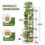 Plant Stand - Set of 5