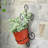 Colt Metal Wall Planter
